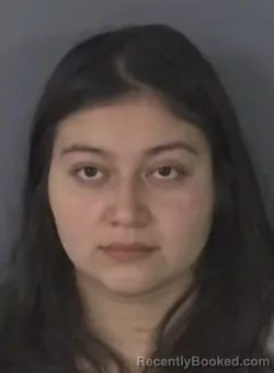 Recent Mugshot Image for ARDEN SALDANA in Clay County, Florida