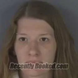 Recent Mugshot Image for BRITTANY DAUGHERTY in Clay County, Florida