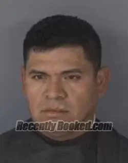 Recent Mugshot Image for ELIAS ALTAMIRANO-VENEGAS in Clay County, Florida
