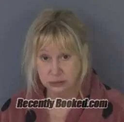 Recent Mugshot Image for HEATHER HAIR in Clay County, Florida