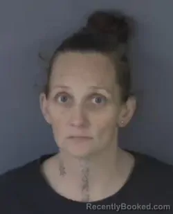 Recent Mugshot Image for MELISSA MCDONALD in Clay County, Florida