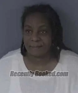 Recent Mugshot Image for MINYON MCAFEE in Clay County, Florida