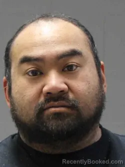 Recent Mugshot Image for NICKI KHAMSAI in Hamilton County, Iowa