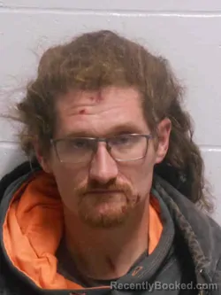 Recent Mugshot Image for ADAM MICHAEL WADE in Henry County, Iowa