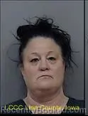 Recent Mugshot Image for SHANNON JEAN BUTTERBAUGH in Linn County, Iowa