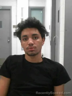 Recent Mugshot Image for HOWARD LEROY JR BROOKS in Muscatine County, Iowa