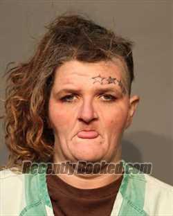 Recent Mugshot Image for JESSICA KAY FISHER in Polk County, Iowa