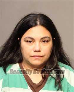 Recent Mugshot Image for DELMY YANETH VALLE CAMPO in Polk County, Iowa