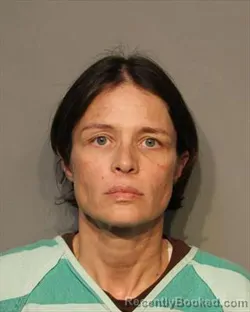 Recent Mugshot Image for HEATHER LEE HIBBERT in Polk County, Iowa