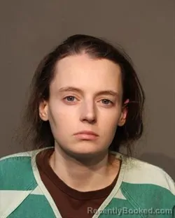 Recent Mugshot Image for HEIDI PAULINE SWANSON in Polk County, Iowa
