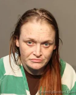 Recent Mugshot Image for JESSECA ELLEN MENZEL in Polk County, Iowa