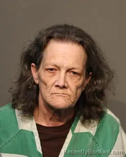Recent Mugshot Image for RHONDA JEAN STEIL in Polk County, Iowa