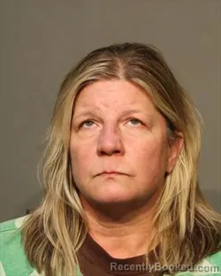 Recent Mugshot Image for BRANDI MARIE WILSON in Polk County, Iowa