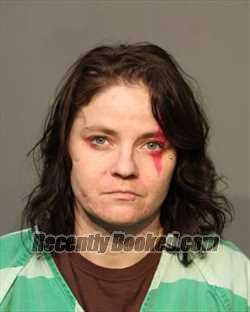 Recent Mugshot Image for MICHELLE NICOLE WEANDER in Polk County, Iowa