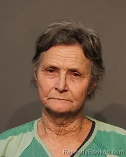 Recent Mugshot Image for CINDY SUE BAILIFF in Polk County, Iowa