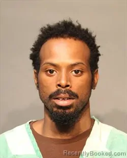 Recent Mugshot Image for ROBIN ORLANDO WELLS in Polk County, Iowa