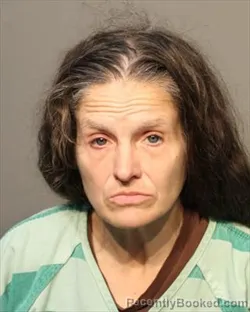 Recent Mugshot Image for JESSICA MARIE HENDERSON in Polk County, Iowa