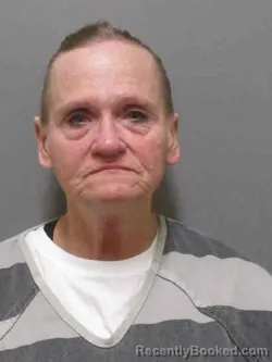 Recent Mugshot Image for JODI LYNN VAN LEEUWEN in Sioux County, Iowa