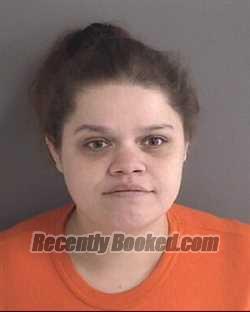 Recent Mugshot Image for LESLIE CHRISTINE CHOTHEN in Story County, Iowa