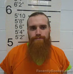 Recent Mugshot Image for DARYL JAMES PETERSON in Warren County, Iowa
