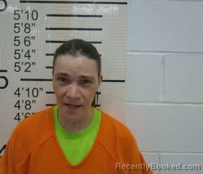 Recent Mugshot Image for MELLISA DAWN STORTO in Warren County, Iowa