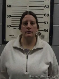 Recent Mugshot Image for MISTY LEANN COLLINS in Wayne County, Iowa
