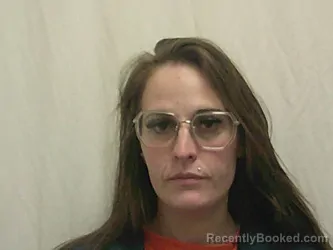 Recent Mugshot Image for MEGAN RENEE HOUSEL in Bannock County, Idaho