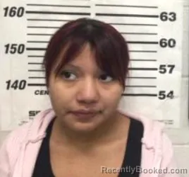 Recent Mugshot Image for DALYLAH GRACIELA VILLASENOR in Bannock County, Idaho