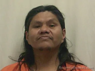 Recent Mugshot Image for NULAND GOULD TITUS in Bannock County, Idaho