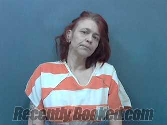 Recent Mugshot Image for RICILYN LEDAWN BROADHEAD in Cassia County, Idaho