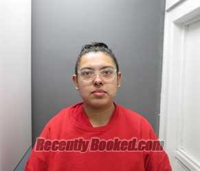Recent Mugshot Image for RANEISHA LANETTE SHAELIN RUNNING in Clearwater County, Idaho