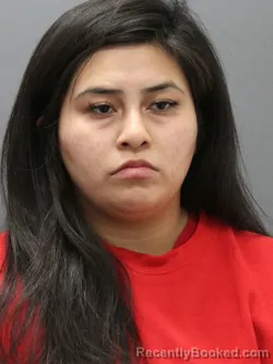 Recent Mugshot Image for AIYANAH ELISE FRANK in Clearwater County, Idaho