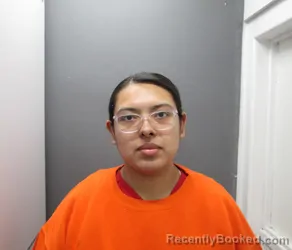 Recent Mugshot Image for RANEISHA LANETTE SHAELIN RUNNING in Clearwater County, Idaho