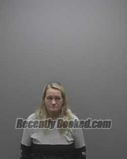 Recent Mugshot Image for MEGAN ANDREWS DICKERSON in Alamance County, North Carolina