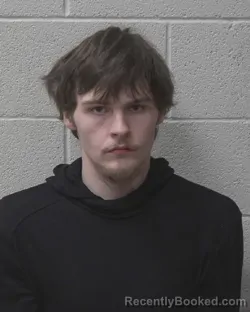 Recent Mugshot Image for RICHARD LAWRENCE DANIELS in Alexander County, North Carolina