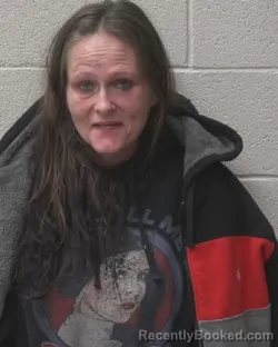 Recent Mugshot Image for SUSAN APRIL SILVA in Alexander County, North Carolina