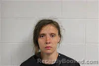 Recent Mugshot Image for BRITTANY KAY TURBYFILL in Avery County, North Carolina