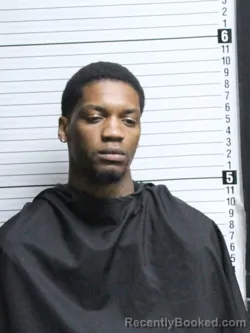 Recent Mugshot Image for DELTON OBRIAN BESSENT in Brunswick County, North Carolina