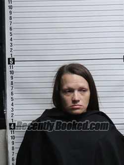 Recent Mugshot Image for JANNIE SUE NAN DEANS in Brunswick County, North Carolina