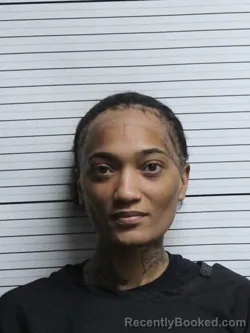 Recent Mugshot Image for KANDREA KATRICE WILLIAMS in Brunswick County, North Carolina