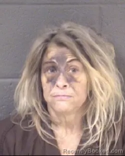Recent Mugshot Image for LINDA CAIN RAPER in Buncombe County, North Carolina