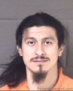 Recent Mugshot Image for MARCO ANTONIO PALALA MORALES in Buncombe County, North Carolina