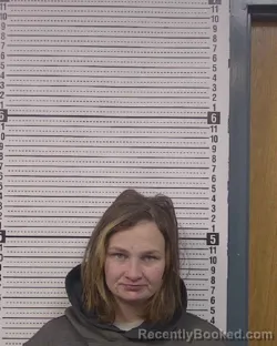 Recent Mugshot Image for TIFFANY MICHELLE RICH in Caldwell County, North Carolina