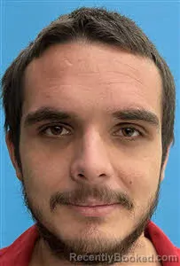 Recent Mugshot Image for James Cecil Chivers in Desoto County, Florida