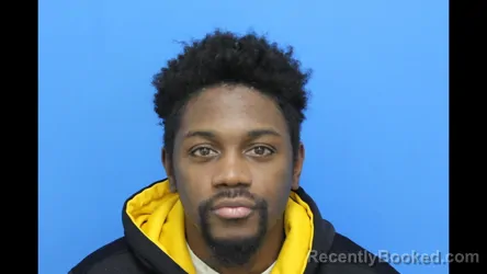 Recent Mugshot Image for Kendall Lorian Lineberger in Catawba County, North Carolina