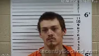 Recent Mugshot Image for Tyler Joseph Morgan in Cherokee County, North Carolina