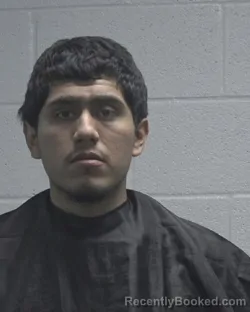 Recent Mugshot Image for STEVEN CEDILLO NAVA in Cleveland County, North Carolina