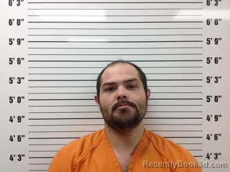 Recent Mugshot Image for JAMES ALLEN DAY in Pickens County, Georgia