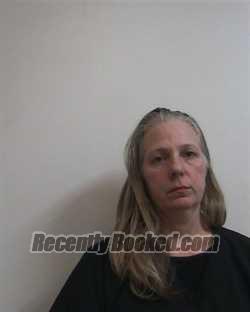 Recent Mugshot Image for MARY LOU WILSON in Davidson County, North Carolina