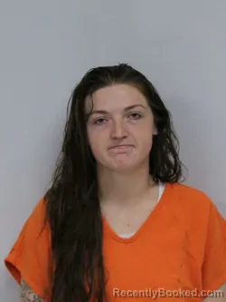 Recent Mugshot Image for LINDSAY DANIELLE LEATHERMAN in Davie County, North Carolina